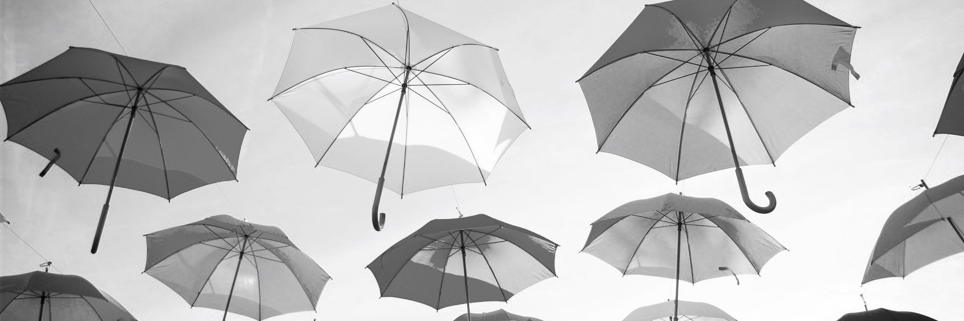 Fairsicherungsmaklerin/Versicherungen/Regenschirme